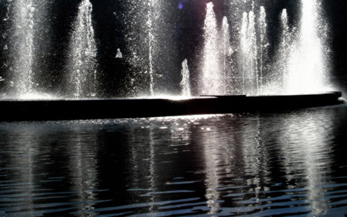 Go Black and White for a Fountain WP
