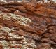 Free High Quality Collection of 33 Bark Textures