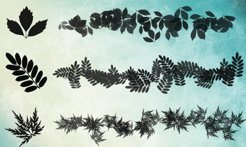 photoshop leaf brushes