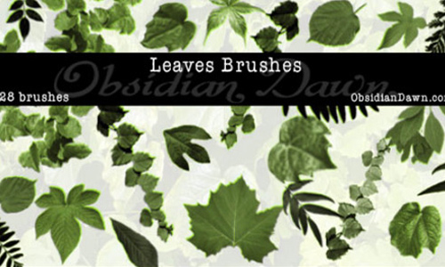 Unique Green Leaves Photoshop Brushes