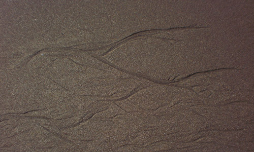 Scratched Yet So Attractive Sand Texture