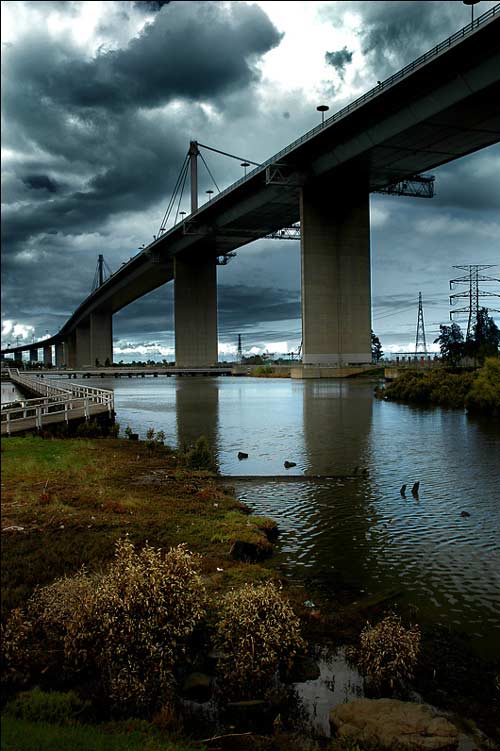 Certainly Nice Bridge Photo