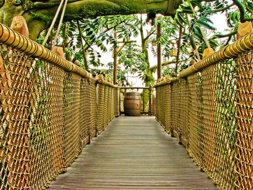 Astounding Bridge Photograph