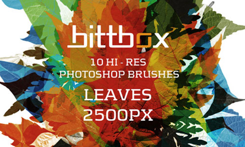 Amazingly Colorful Leaf Brush Set