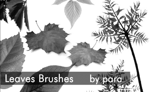 Simpler but Very Nice Leaf Brush Set