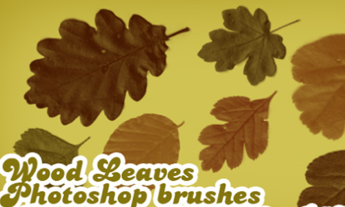 Creative Leaf Brush Set