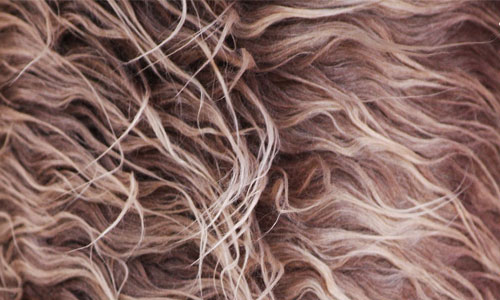 Really Hairy Yet Nice Fur Texture