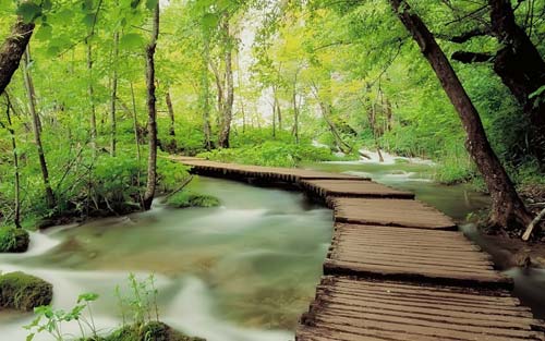 Cool Black and White Bridge Photo