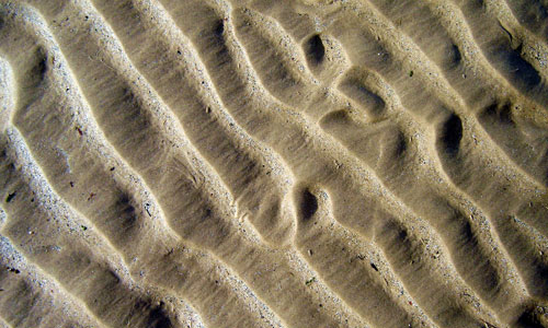 Meaningful Sand Texture