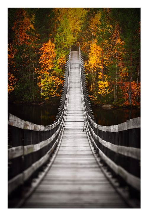 Creepy Bridge Photo