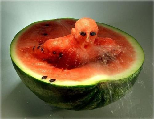 Watermelon Amazement Food Art