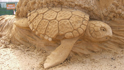 Pretty Sea Creature in Sand