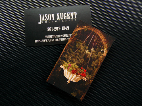 Jason Nugent Photography 16PT Matte Business Card