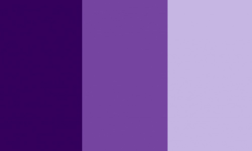 monochromatic color scheme