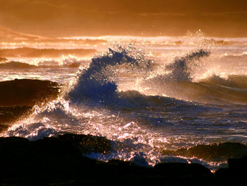  Awesome golden waves photo