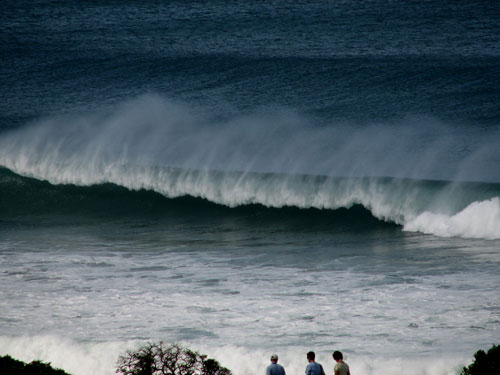 Fine looking waves photo. 