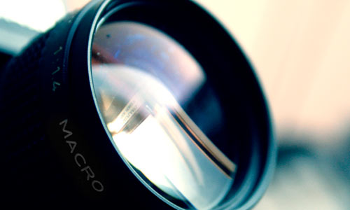 Choosing the lens for Macro Photography