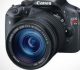 A Glimpse at the Best DSLRs for Beginners