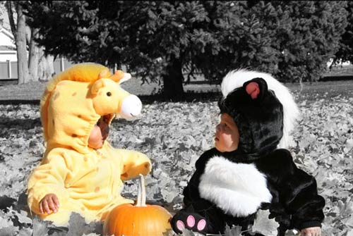 Very Attractive Baby Halloween Photography