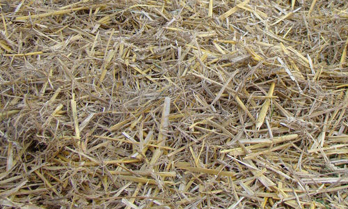 For the Farm Hay Texture