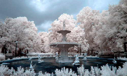 Infrared Photography