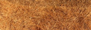 35 Free Straw and Hay Textures | Naldz Graphics