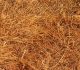 35 Free Straw and Hay Textures