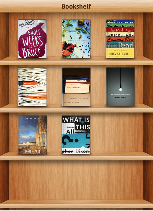 iBook Inspired Bookshelf