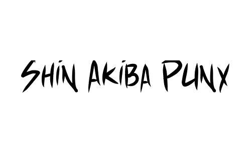 Shin Akiba Punx