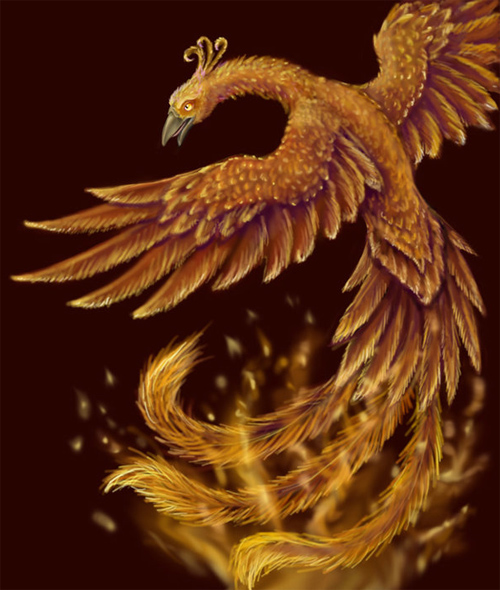 phoenix wallpaper