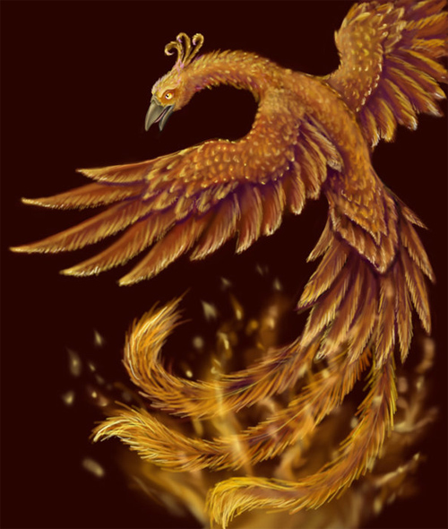 30 Great Phoenix Illustration Artworks | Naldz Graphics