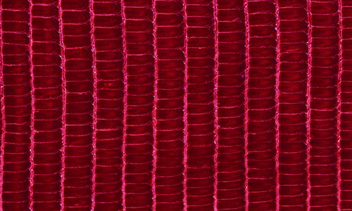Texture Wise Leather Texture