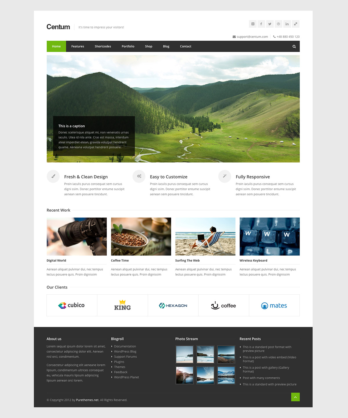 premium responsive theme