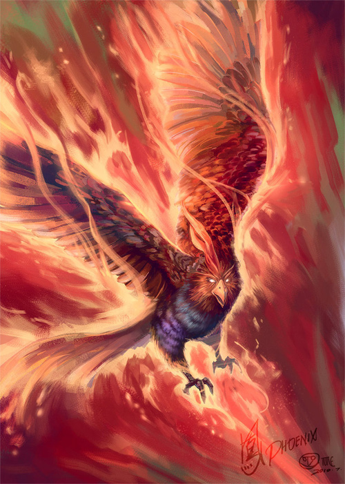 30 Great Phoenix Illustration Artworks | Naldz Graphics