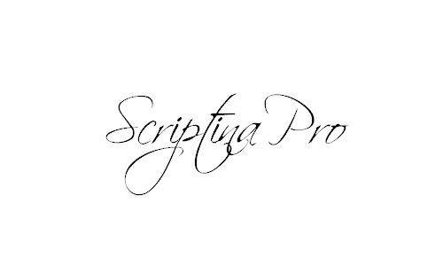 Scriptina Pro font