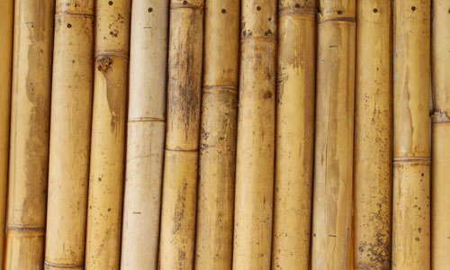 High Quality Bamboo Texture