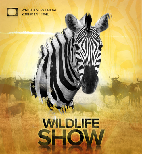 Design a Professional Wildlife TV Show Poster