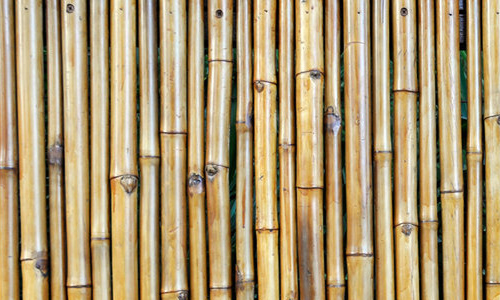 Bamboo  Fence Texture