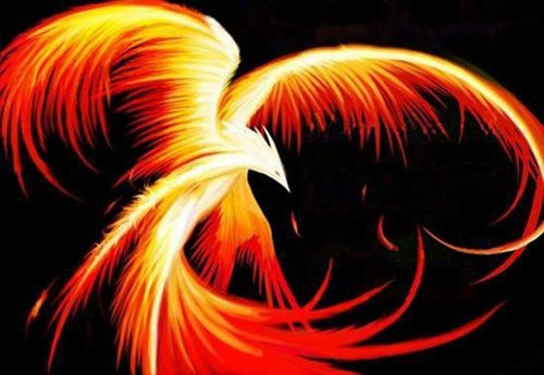 phoenix