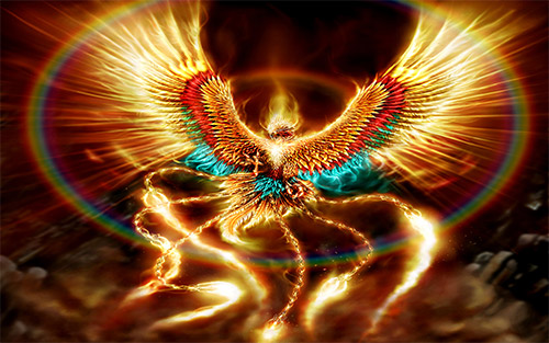 colorful phoenix illustration