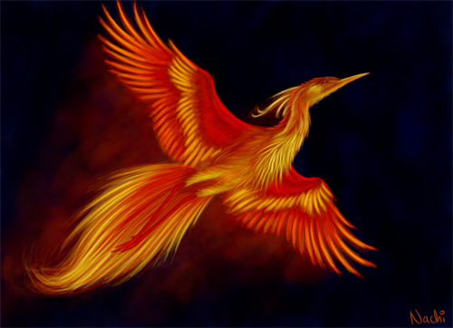 firebird