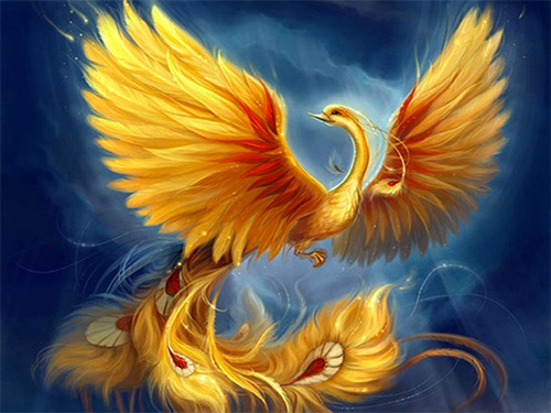 phoenix wallpaper illustration