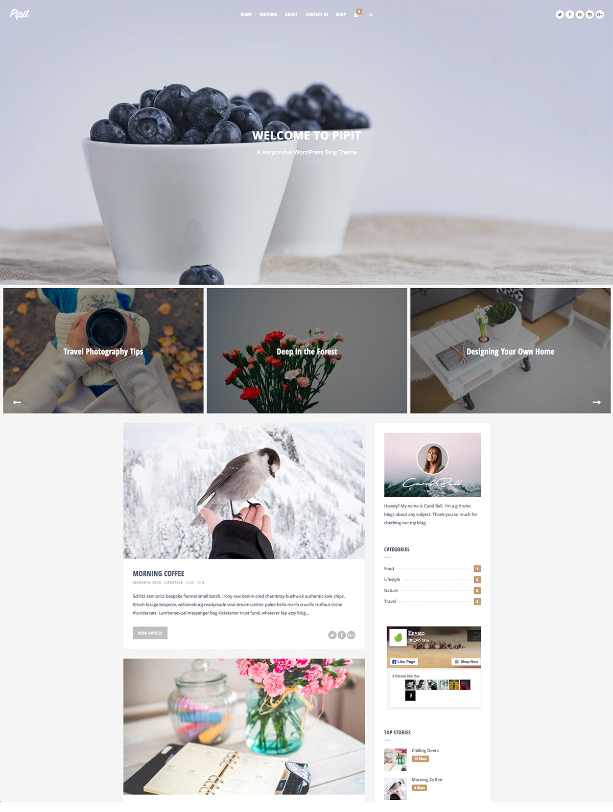 responsive blog theme