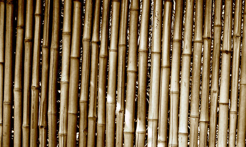 Bamboo Texture Stock 001