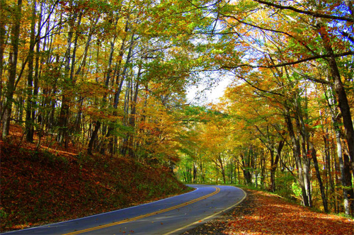 Autumn Road