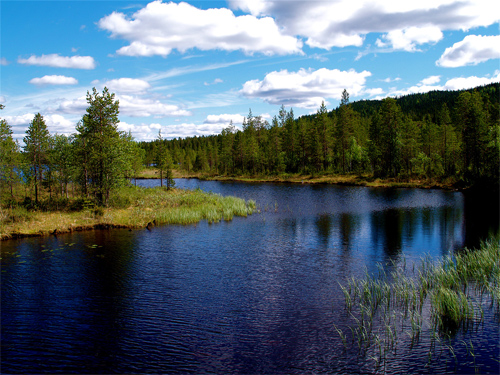 Lake in Kuusamo