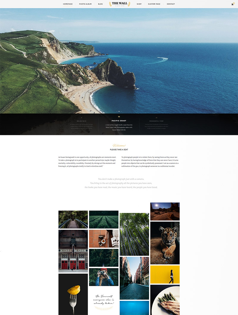 50 WordPress Themes for Photographers | Naldz Graphics