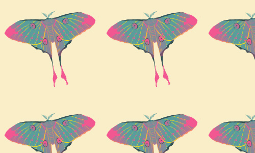 Pastel Moth