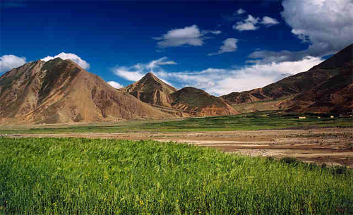 Tibetian landscape