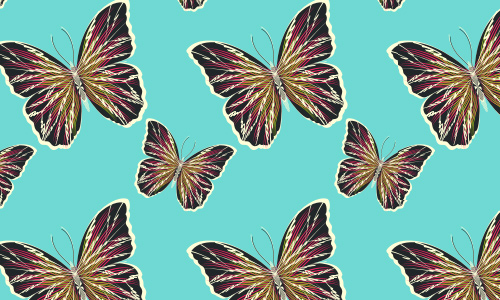 Sandras Butterfly